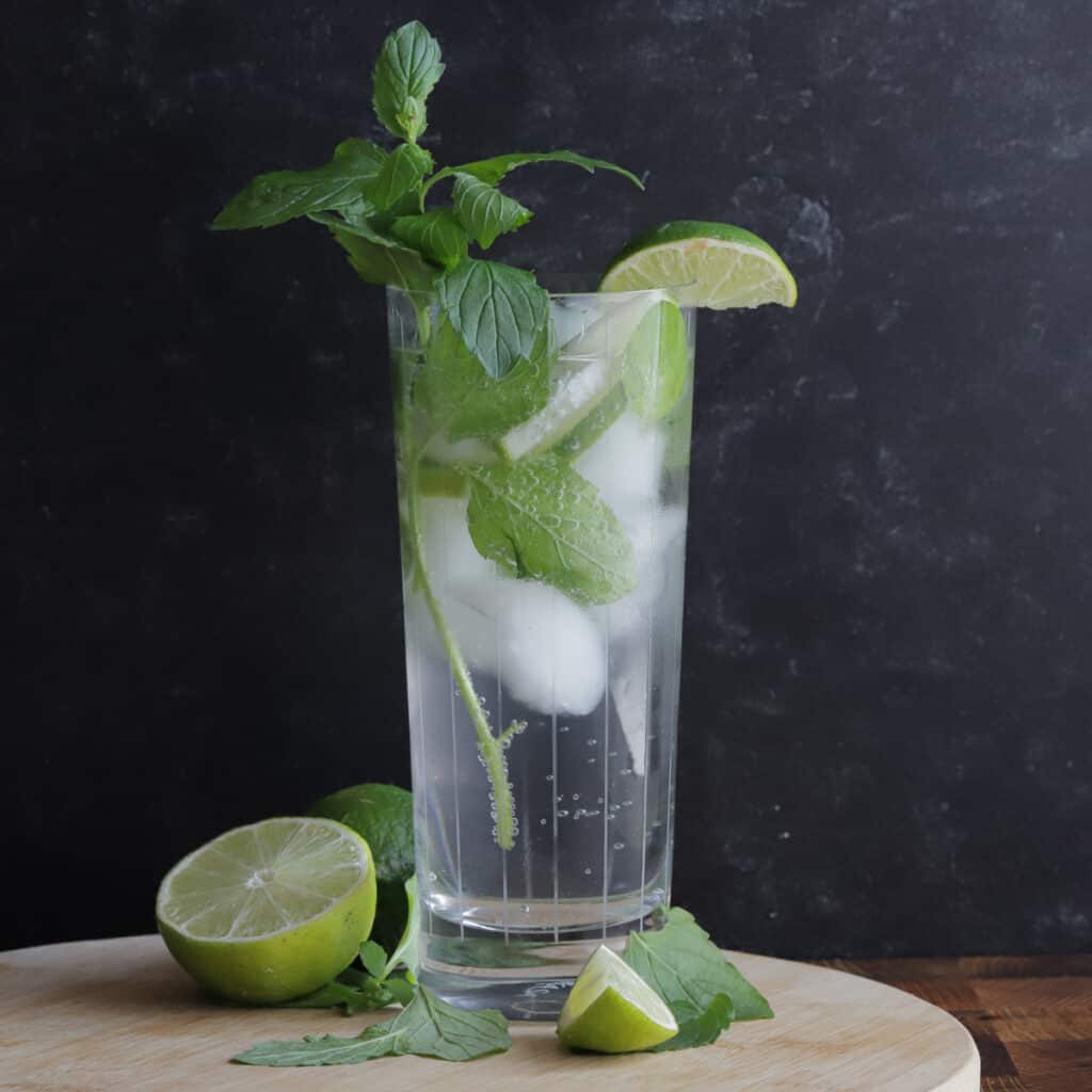 Mojito cocktail in a tall glass with lime chunks and mint leaves